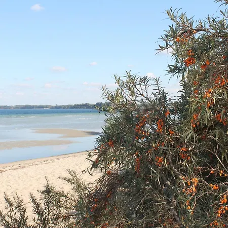 דירה Moderne In Meeresnaehe In Tarnewitz