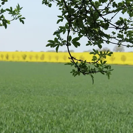 Moderne In Meeresnaehe In * Tarnewitz