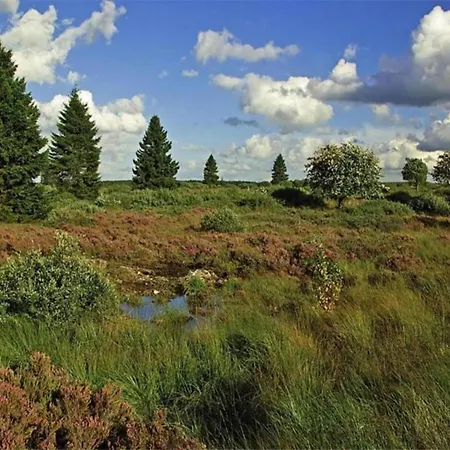 Moderne In Meeresnaehe In