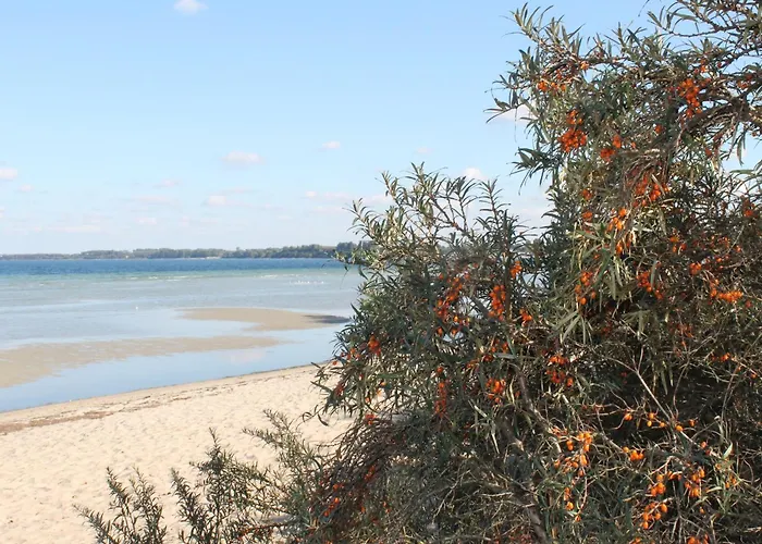 Διαμέρισμα Moderne In Meeresnaehe In Tarnewitz