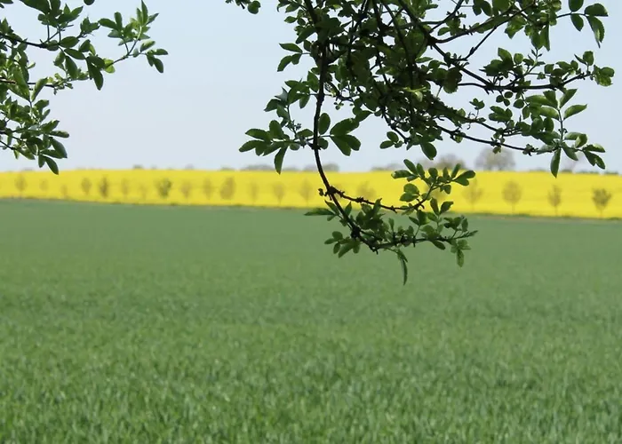 Moderne In Meeresnaehe In * Tarnewitz